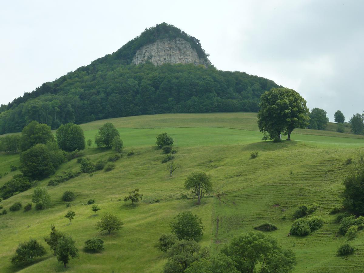 Gasthof Loewen Wisen Buitenkant foto